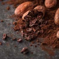 Butcher's Broom Root Extract